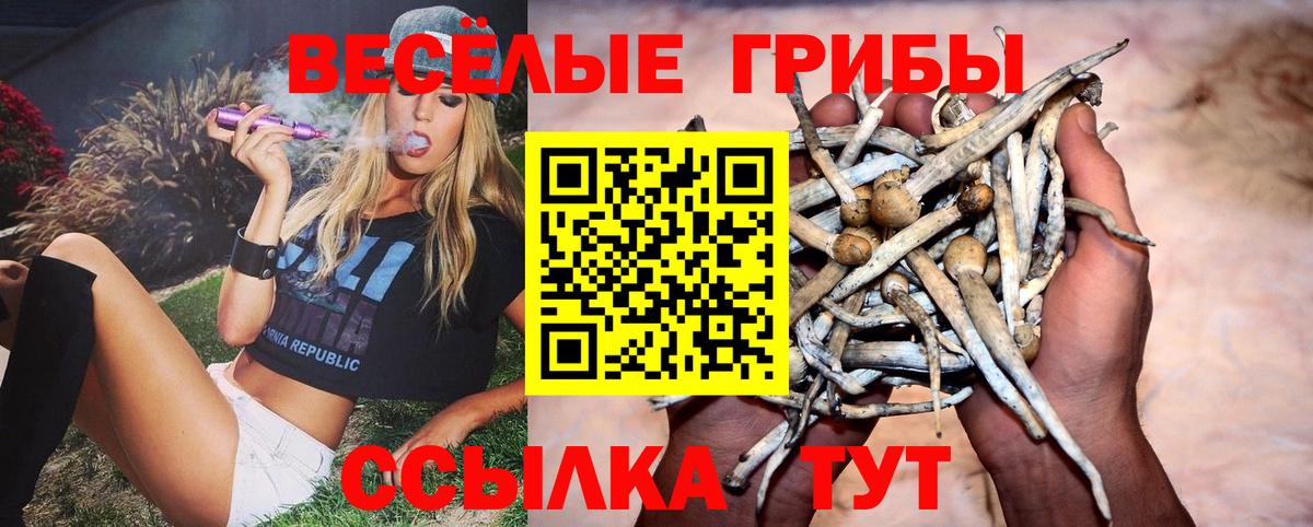 Галлюциногенные грибы ЛСД Карталы